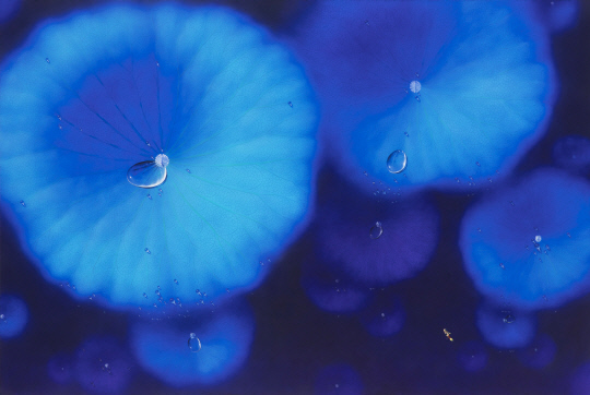 남상운, BLUE MOON-Atom5408, Natural Diamond 0.13ct, oil on canvas, 130x194cm(120P), 2024